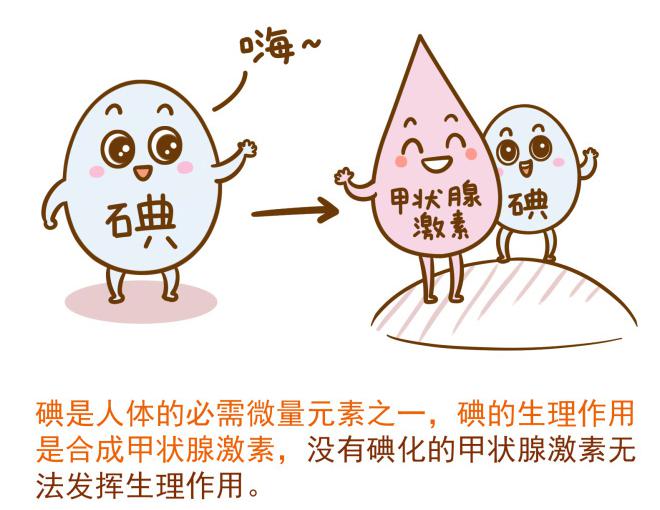 防治碘缺乏病日众志成城战疫情科学补碘保健康