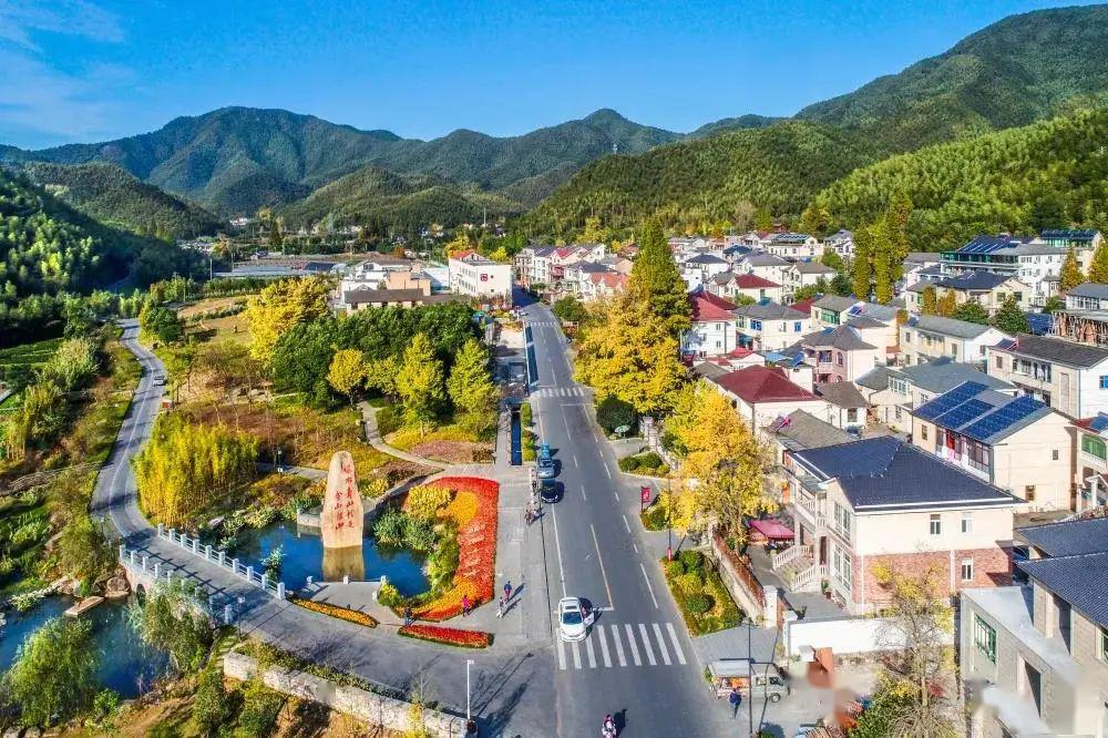 旅养第一站浙江中青旅杭州明珠电视台联合邀您去安吉洗肺观万亩竹林品