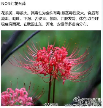 #孩子#一人陷入昏迷！原因让人后怕警惕！4个男孩路边呕吐