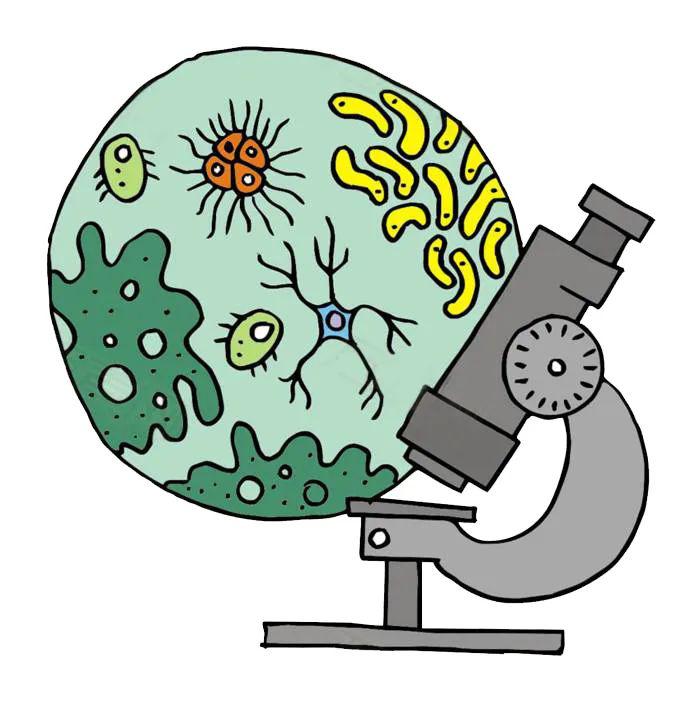 微生物污染