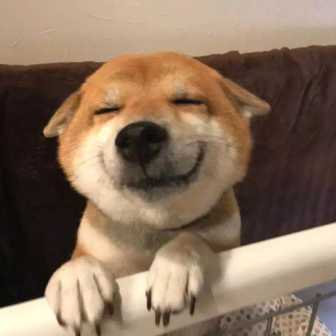 撩妹撩汉表情包