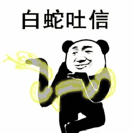 熊猫头功夫表情包