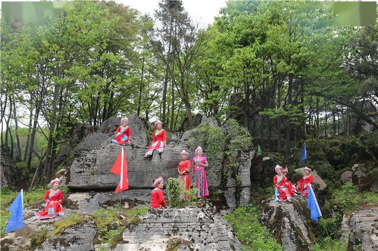 奉节龙桥土家族乡第四届采笋季暨百名网红直播带你游龙桥消费扶贫活动