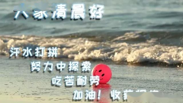 a7bc6c539350478c82a18ae7a28a7c12.jpeg