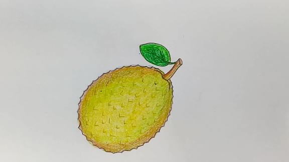 零基础轻松学会简笔画水果绘画菠萝蜜