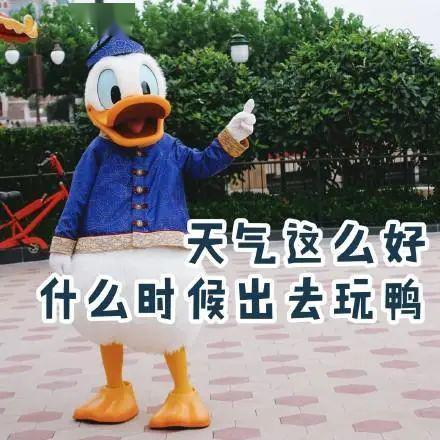 4d48d54e20ea4634ab5eaadf6dc78626.jpeg