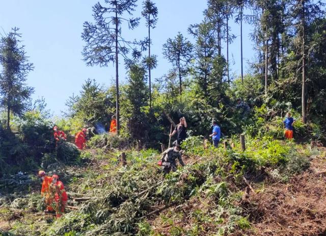 禄劝屏山镇人口_禄劝县屏山镇(3)