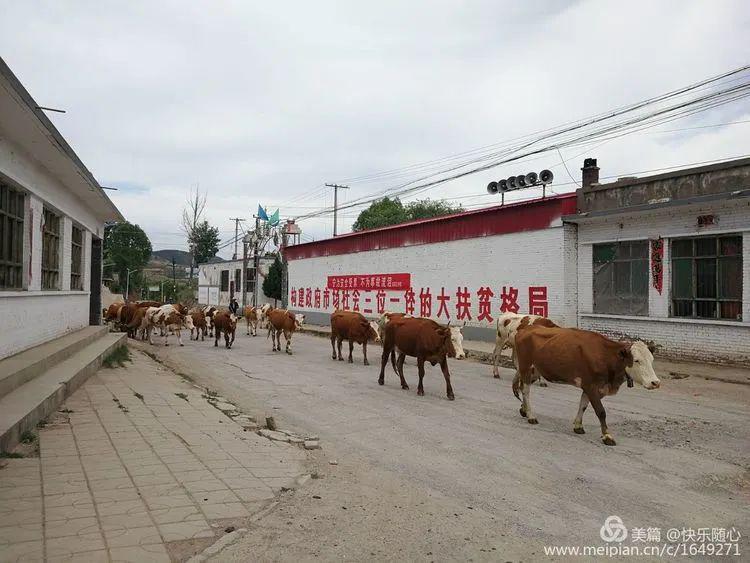 娄烦县各村人口_娄烦县天池店乡河北村