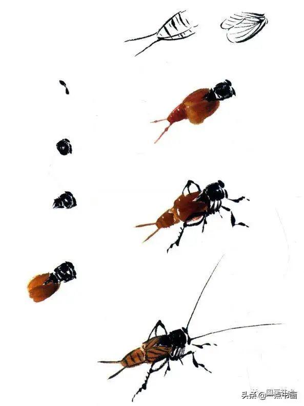 写意草虫画法教程——蟋蟀的画法步骤
