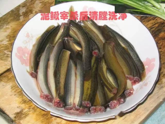 客家人小时候常见这种鱼,竟是"水中人参"!_泥鳅