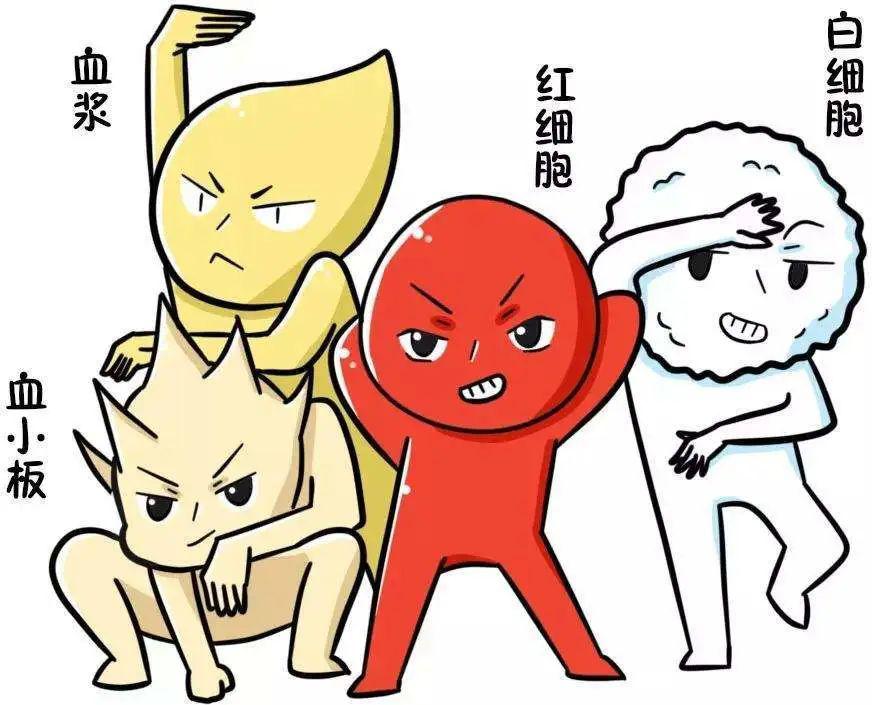 献血课堂||拨云见雾,献血也可以如此平常_血液
