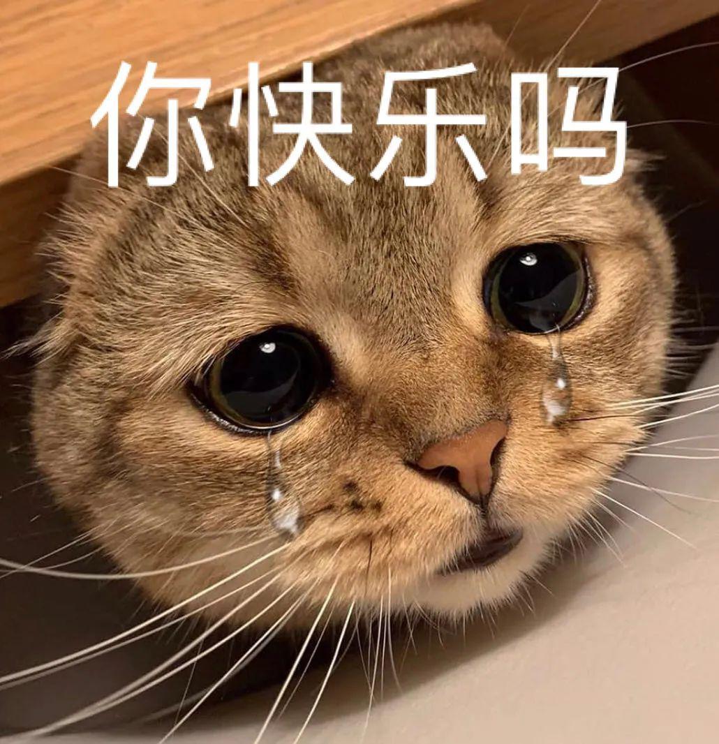 安卓壁纸动态壁纸高清全屏 e80df1df39a3461592d094397673298c.jpeg