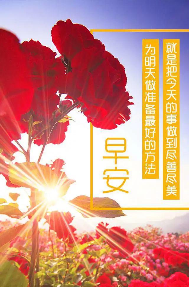 别让缘分擦肩而过,别让美梦变成泡沫,520早安