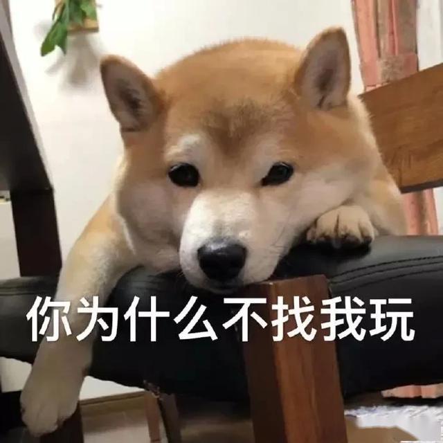 5e458dacfb864924bd9d0d08341b9d93.jpeg