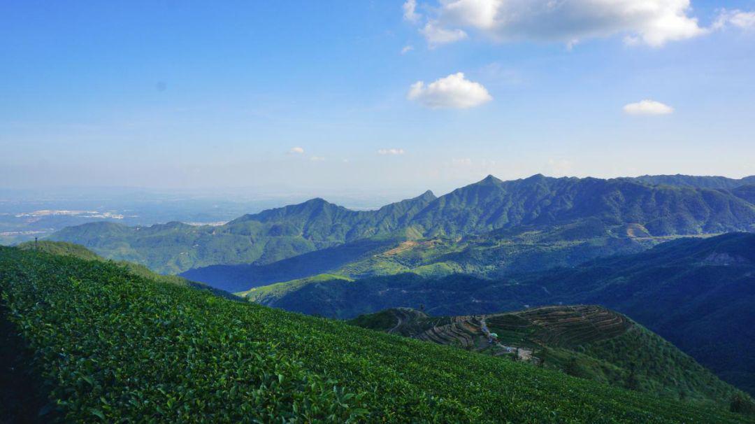 【揭西】第十个中国旅游日,邀您游美丽揭西,泡天然氧吧