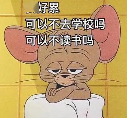 8a0f82a45fff4108a5cd8f8022866d32.jpeg