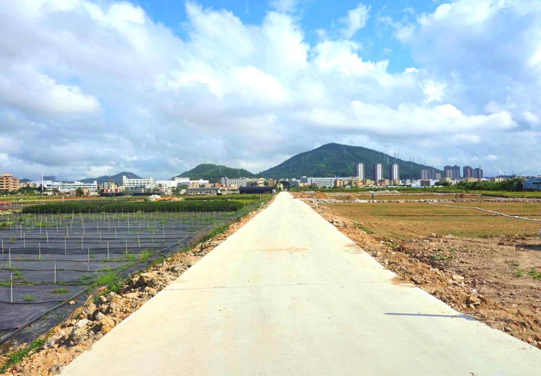 坦洲全力建设高标农田,打造宜居宜业美丽乡村_坦洲镇
