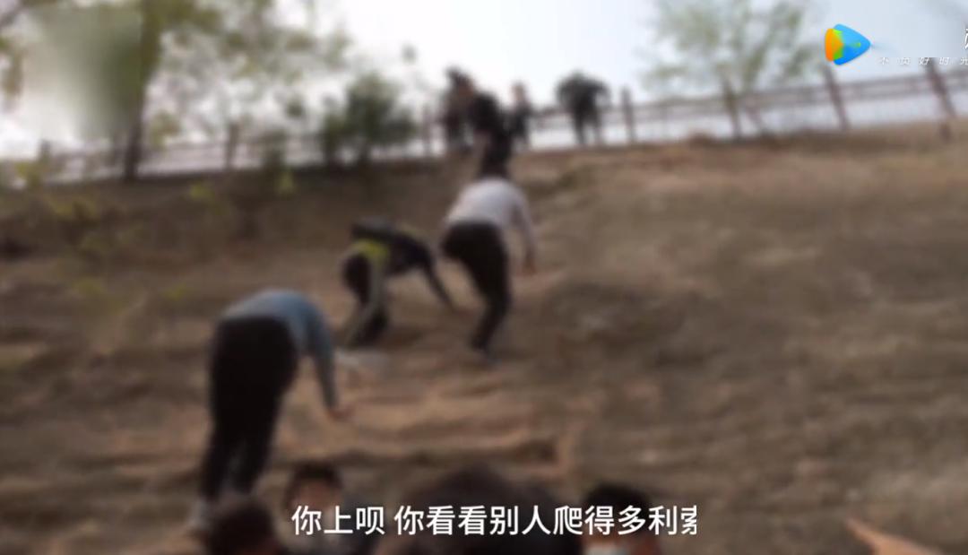 当一个孩子变得越来越“熊”，该反思的是父母
