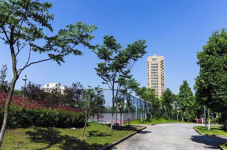 2020年义乌小学毕业_义乌市田心小学2020年一年级招生现场确认须知