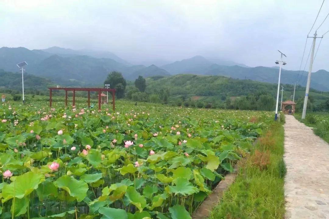 蓝田玉山镇橡凹沟