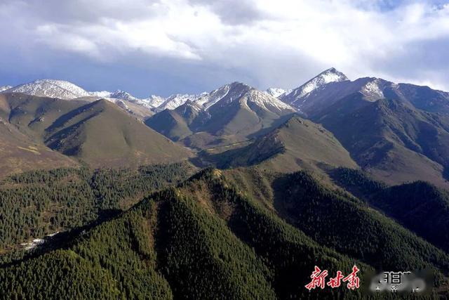 什么时候才开始封山育林 15763ad3820b4c12816d87e9f07d3559.jpeg