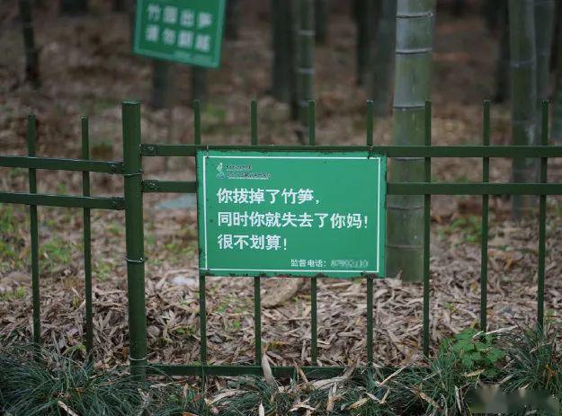 祖安人人口_祖安人头像(2)