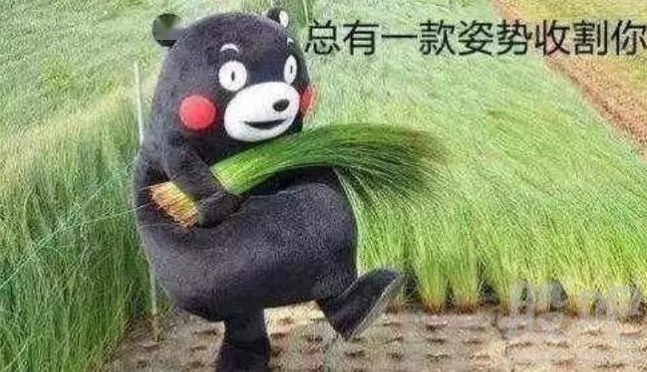 一步踏入“豪门”的日系品牌,它都有什么值得买? 一步踏入“豪门”的日系品牌,它都有什么值得买?