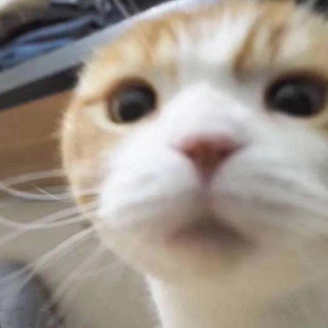 3489754f22e246d195528bb7868c5543.jpeg