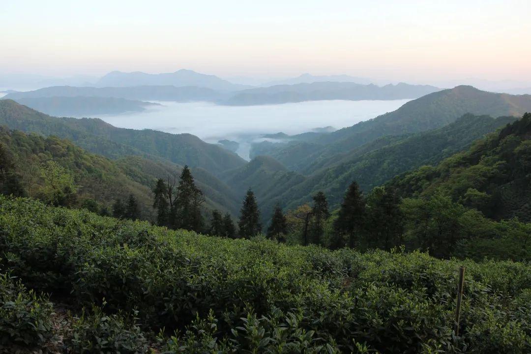 黄山太平人口_黄山到太平中巴(3)