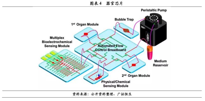 体外诊断专题报告微流控芯片高精度自动化的新蓝海