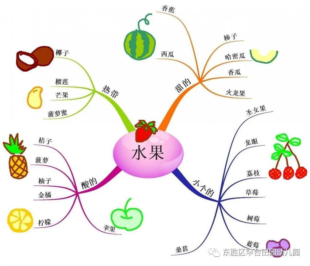 ty超语果然有趣之水果知多少