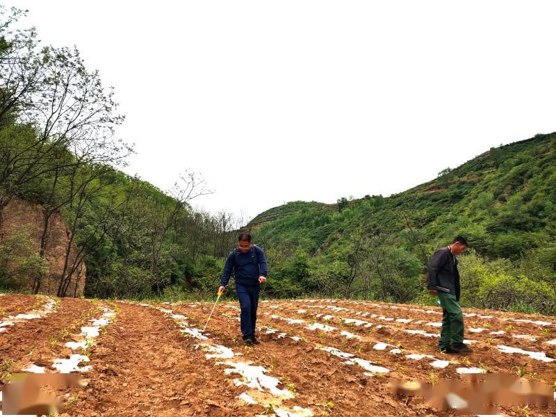 夏县有多少人口_夏县地图