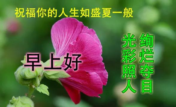 bfb1241e3a964a189c8e42ee2803233a.jpeg