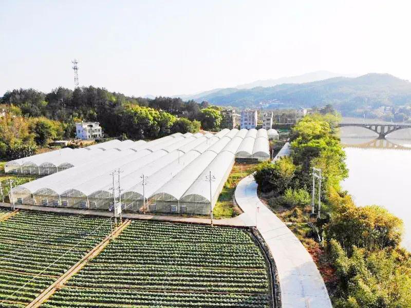 上杭gdp_上杭张庆林(2)