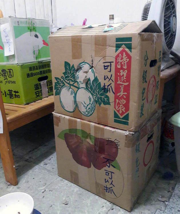 怎么拿两个箱子 09f022a4c93a40739574d4e65a53ff03.jpeg