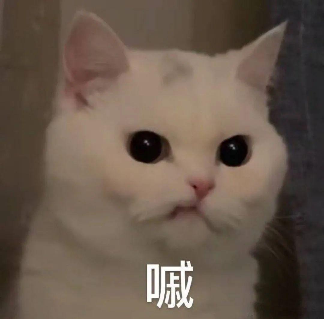 fxtips第一个我就败了!2020年女生完美身材的最新标准