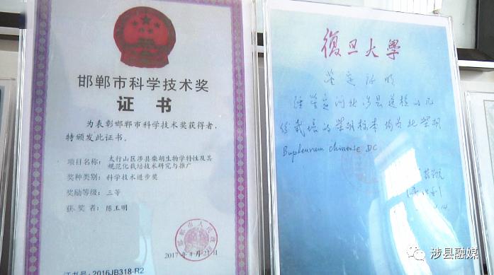 经济分析 总量小 质量差_swot分析(2)