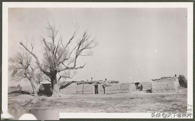 1910年甘肃安西县[今瓜州]老照片 百年前瓜州乡野景象(图5)