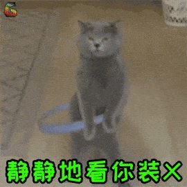 老喵知识——520之后,说说猫咪抑郁症