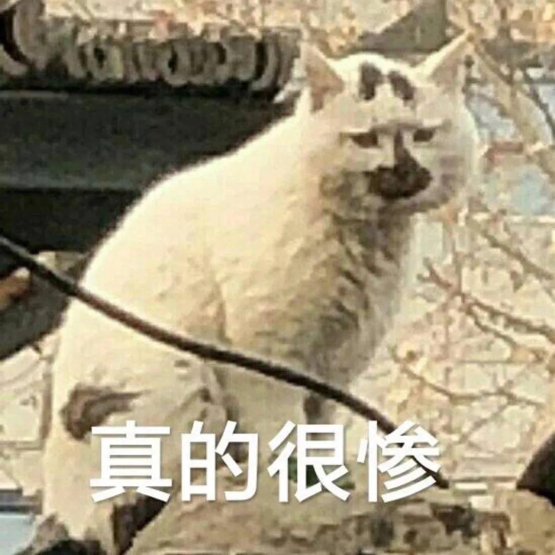 9544a8fa90c043568afdb693565fe5f0.jpeg