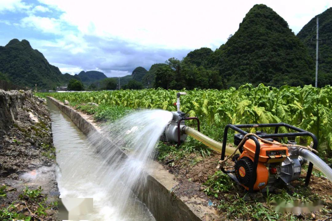 利用抽水机抽水排