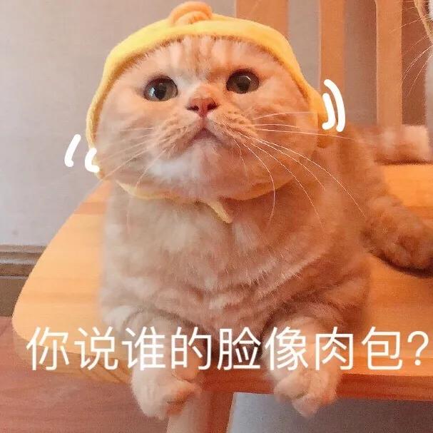 c6c9e82ec3094d8d8ebb8fc9cfe0fd60.jpeg