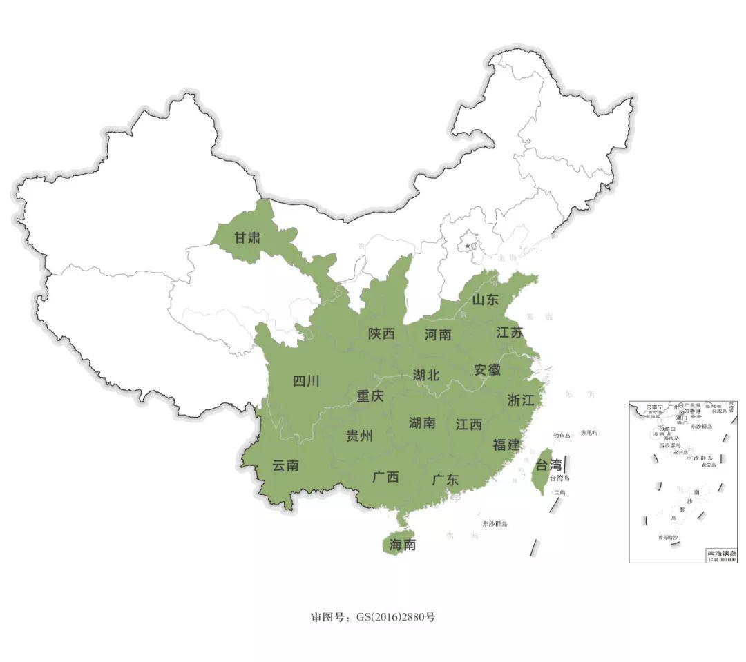 福鼎,政和两相争 白茶的产地,公认的产区只有福建省的福鼎和政和.