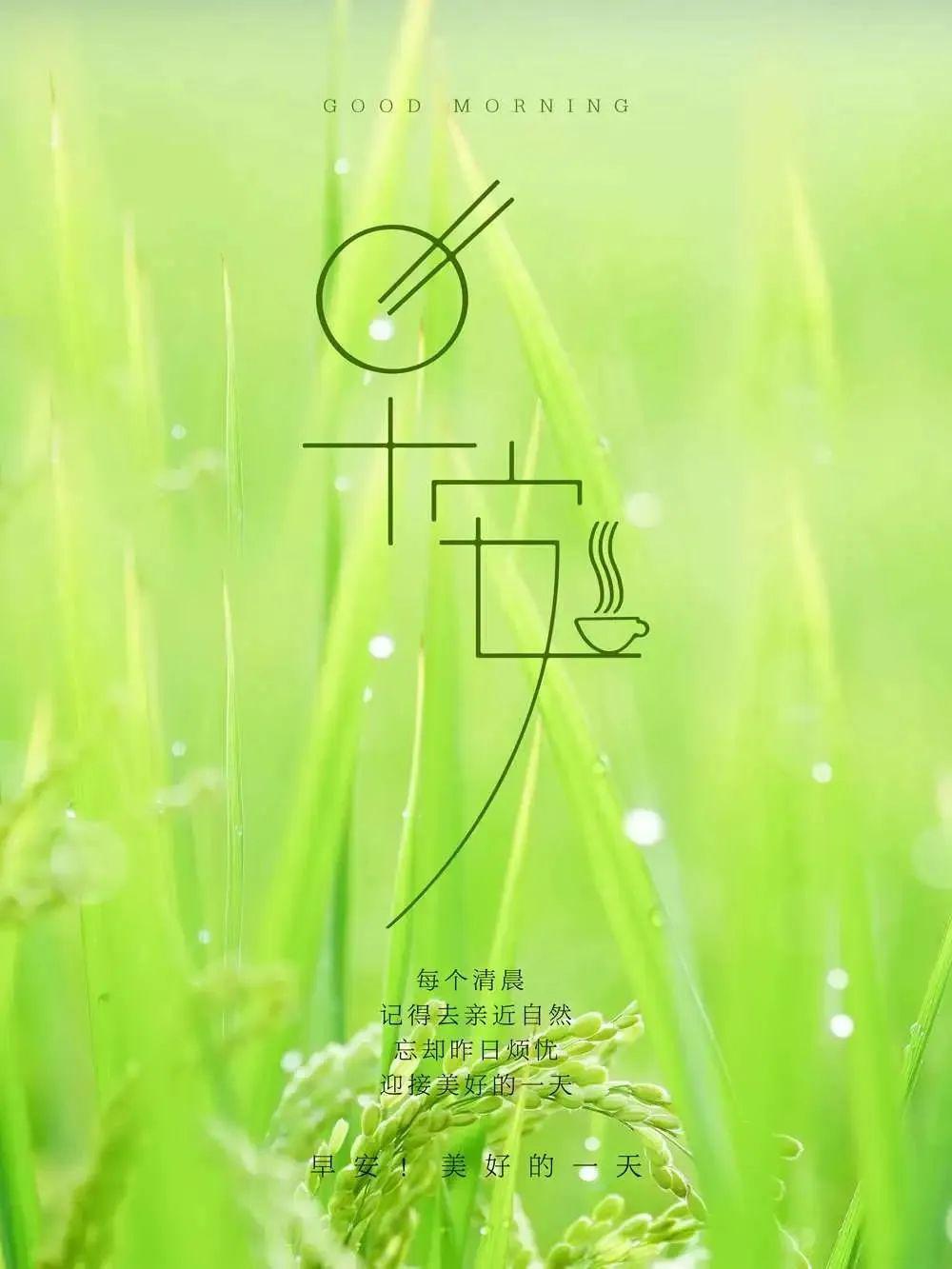 腾辉传媒早安心语|与其临渊羡鱼,不如退而结网