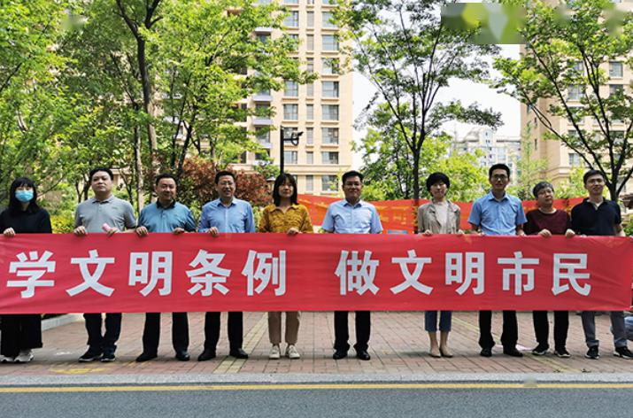 社区人口普查主题党日活动(2)