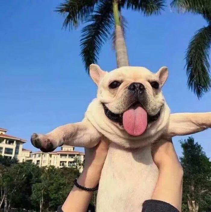 12983fa5889043aaa85409a4e2d1e074.jpeg