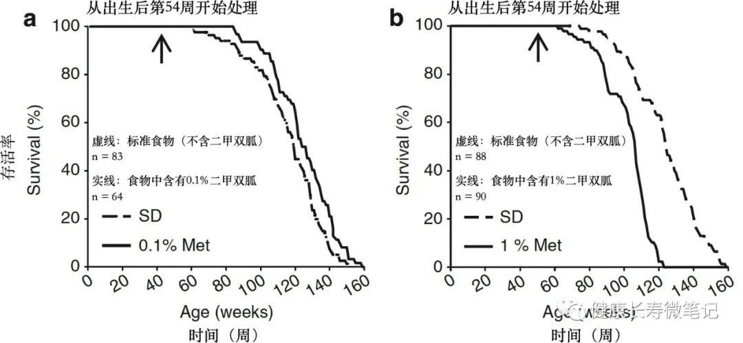 二甲双胍的原理_图二甲双胍的作用机制