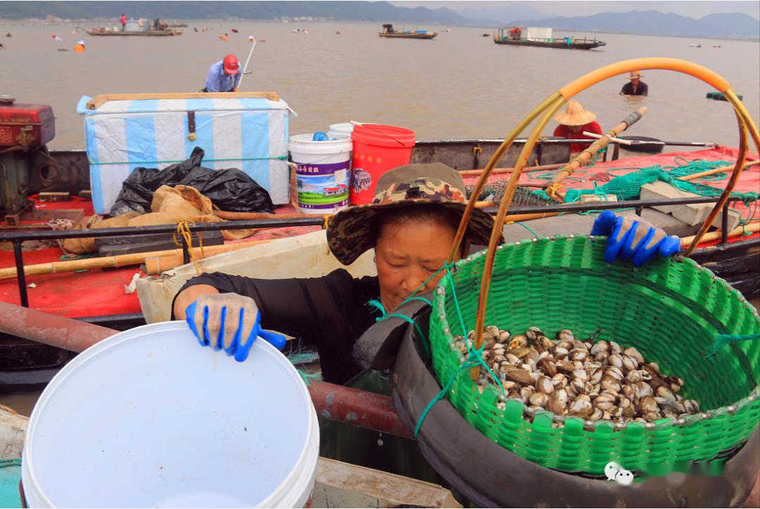 这样的宁海湾约你来赶海!_滩涂