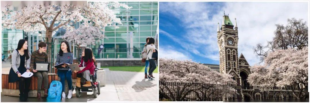 2020新西兰中小学校_没有留学生和游客,新西兰这些学校和店铺都倒了…