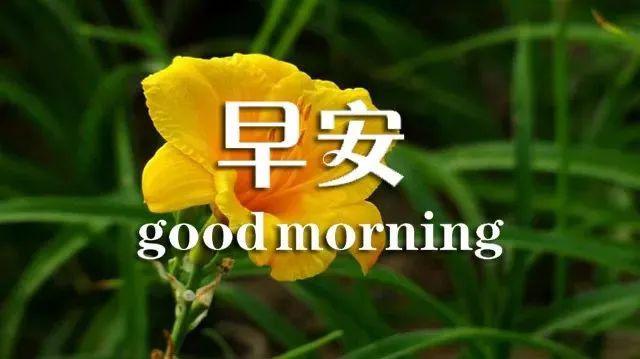 大家早上好图片新版2021 84a49cc42adc43fc94072e10f75dd928.jpeg